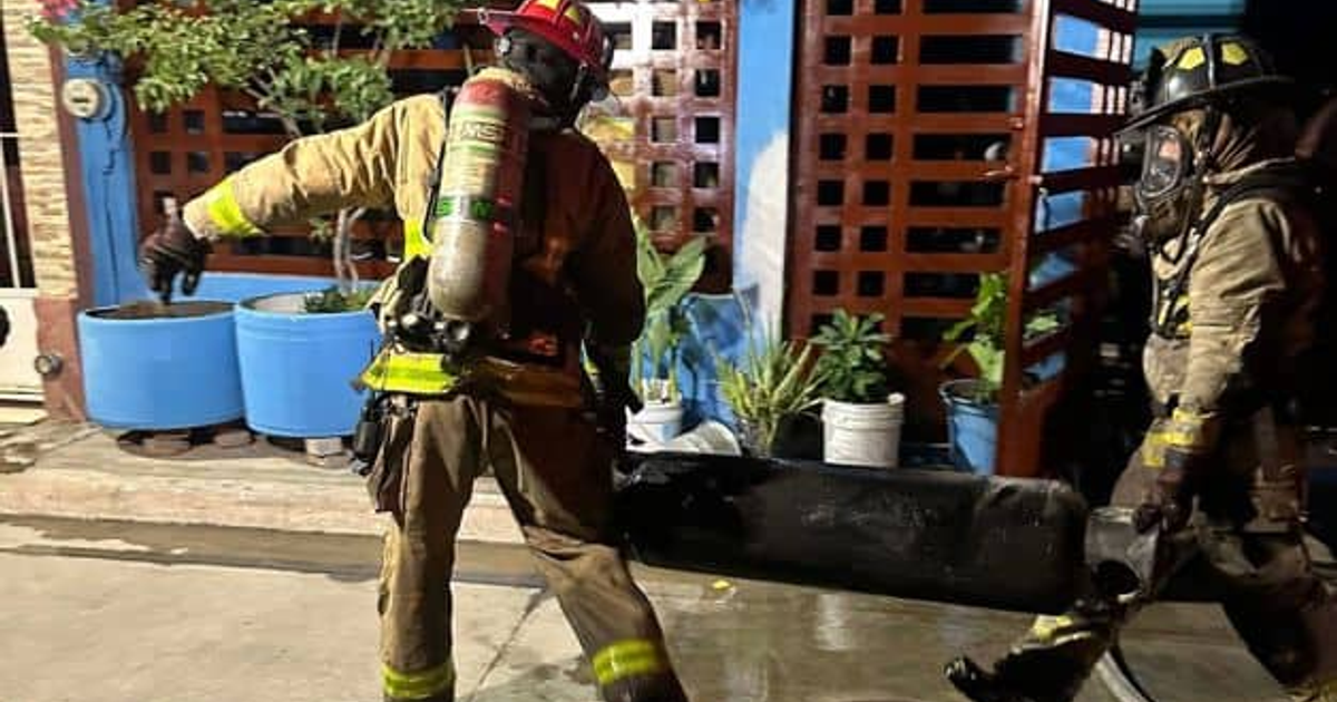 Bomberos trabajando en un rescate en Mazatlán, rodeados de plantas y un edificio.