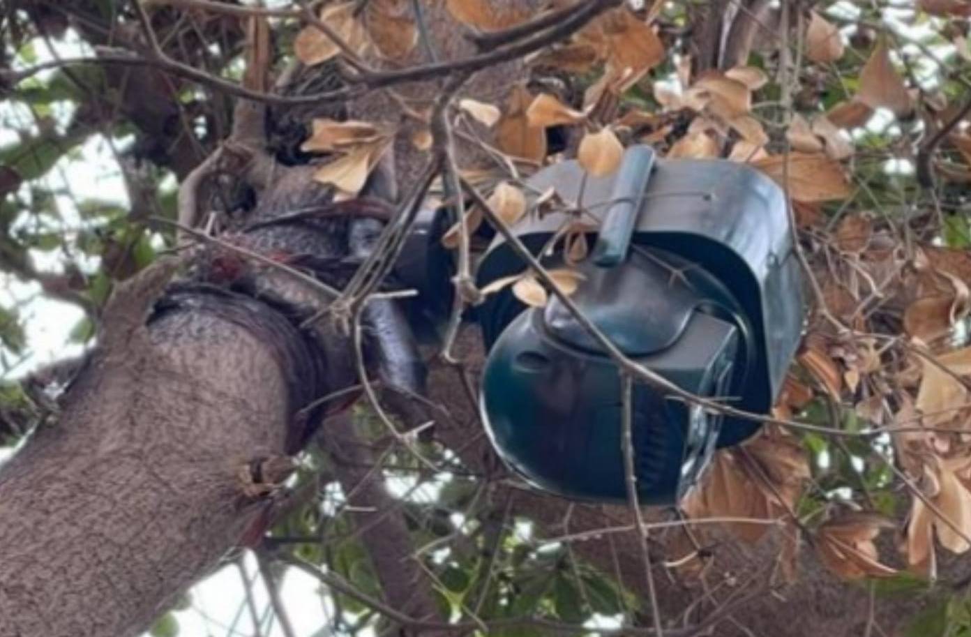 clandestina, delito, Navolato, Sinaloa