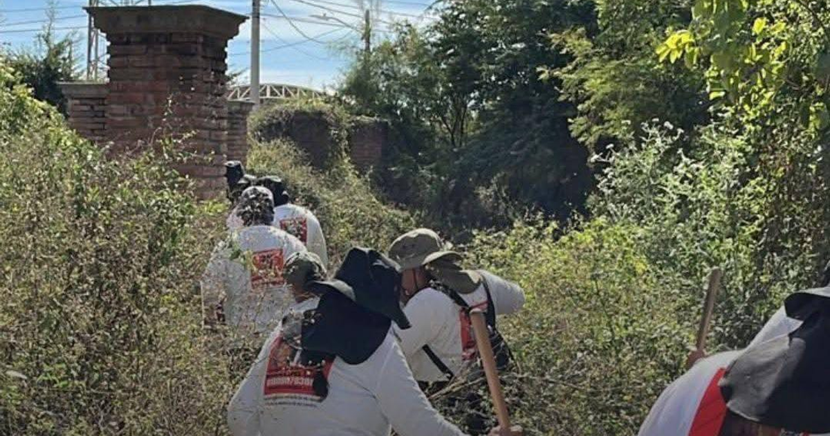 Personas buscando en área boscosa en Sinaloa.